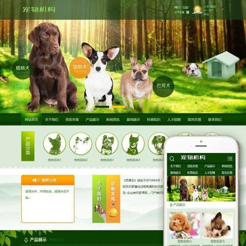 织梦dedecms绿色宠物狗宠物机构网站模板源码(带手机移动端)