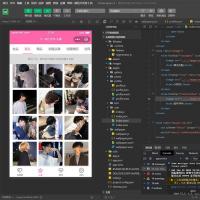 多套头像/壁纸/背景图资源微信小程序源码 粉色UI 带流量主