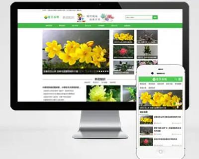 花卉养殖新闻资讯类pbootcms模板（PC+WAP）绿色花草植物网站源码下载