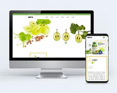 响应式绿色健康水果食品公司网站