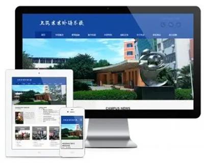 易优eyoucms|响应式理工实验外语学校学院网站模板17092