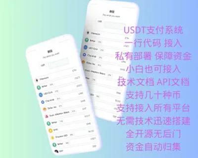 USDT支付系统 区块链支付