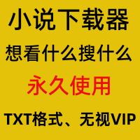 网络小说下载免费工具txt文档win电脑番茄/起点/七猫/笔趣阁小说