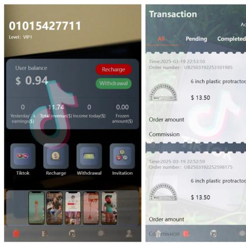 tiktok多语言抢单刷单系统源码/海外源码/带文本搭建教程