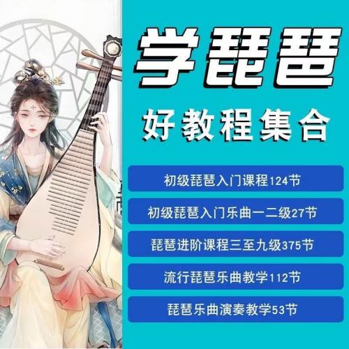 零基础琵琶入门视频教程轻松新手自学全套教程训练合集教学音乐