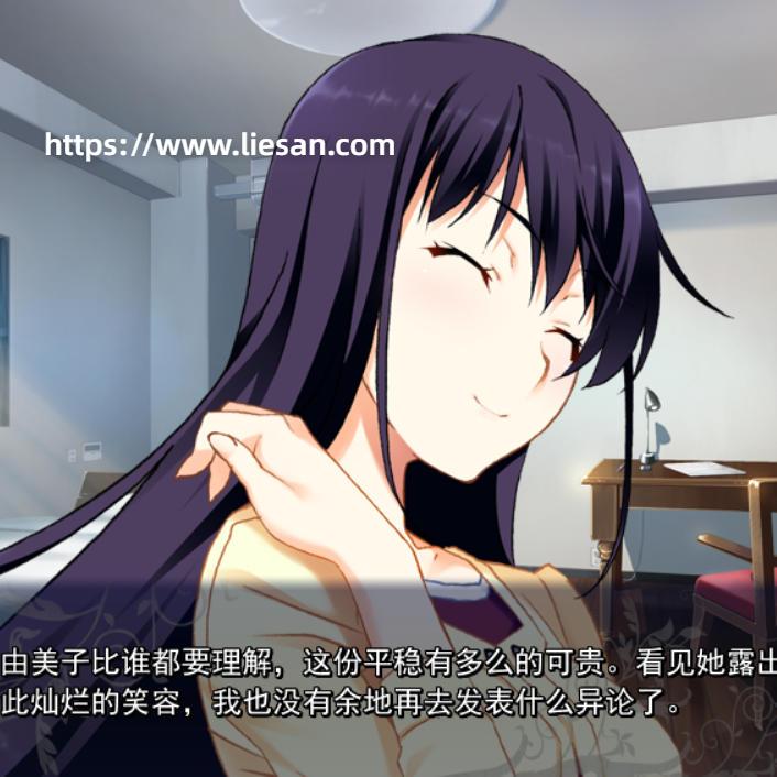 [ADV/汉化/Win端]灰色的迷宫[4.29G/度盘]