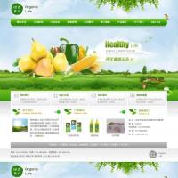 大气清新的绿色食品水果蔬菜网站html模板下载