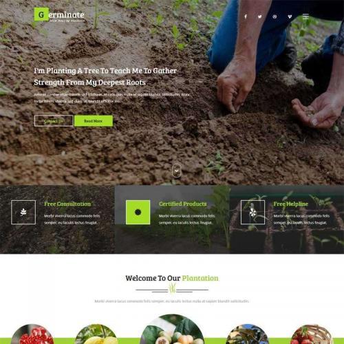 绿色宽屏的蔬菜水果农业种植网站模板HTML代码