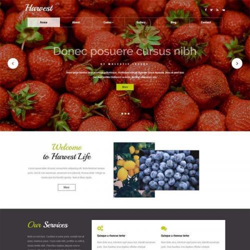 宽屏的国外水果种植网站模板html代码