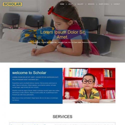 实用的儿童教育学校网站静态模板HTML代码
