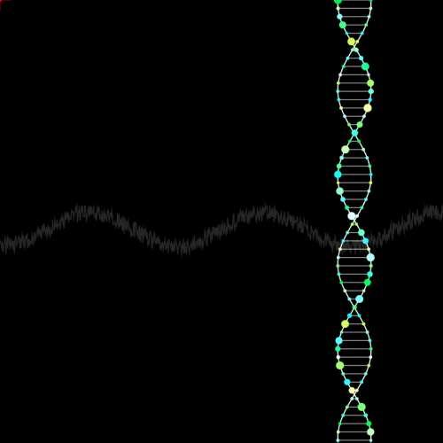 DNA合成动画，简单的css动画效果素材代码